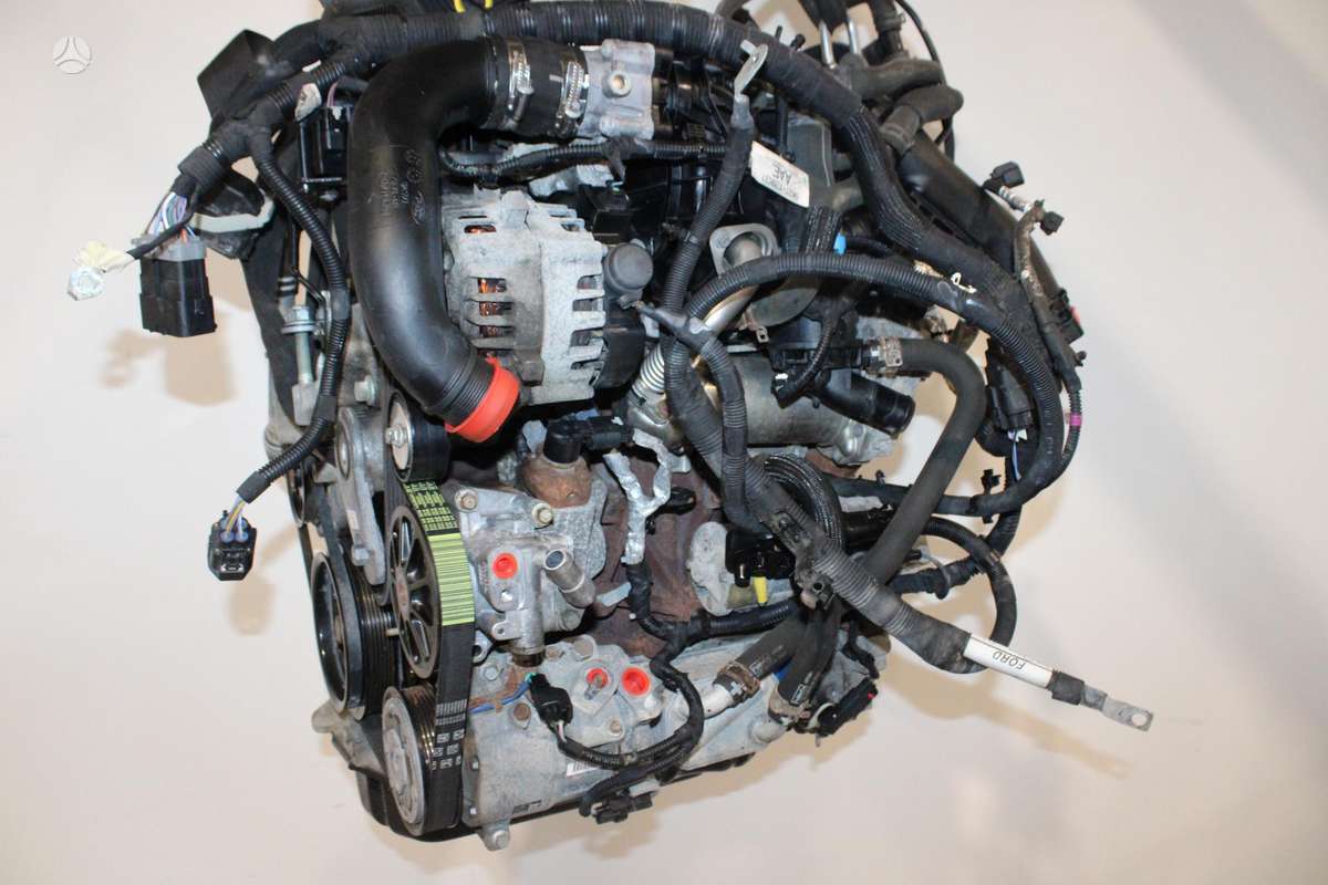 Ford Transit Custom, YMF6, engine