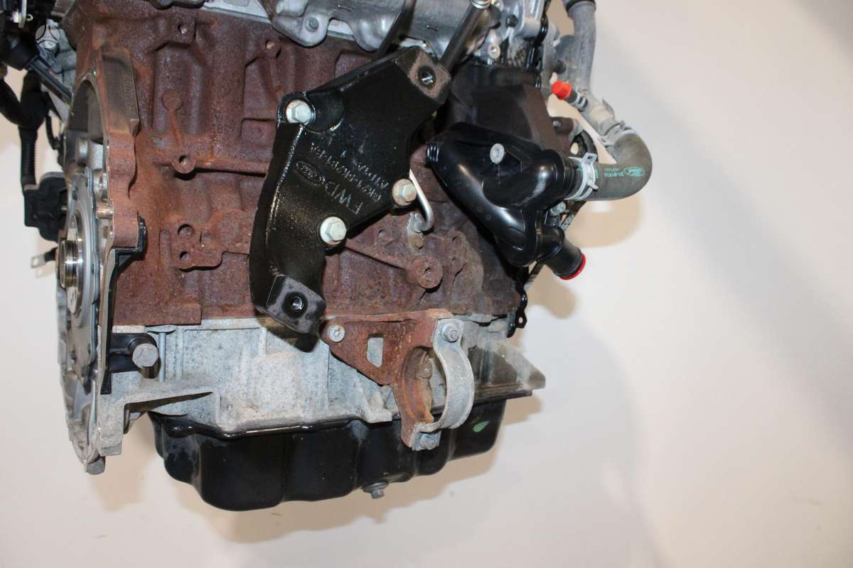 Ford Transit Custom, YMF6, variklis
