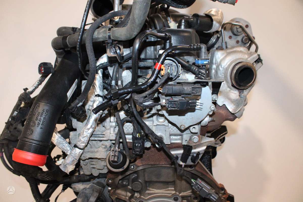 Ford Transit Custom, YMF6, engine