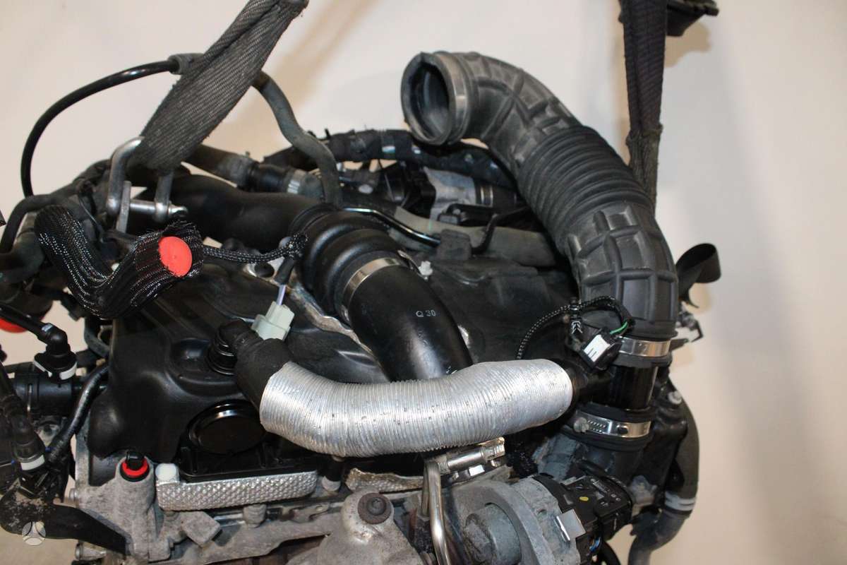Ford Transit Custom, YMF6, variklis