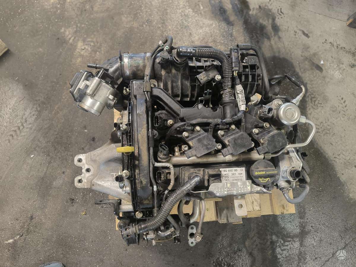 Ford Fiesta, SFJA
