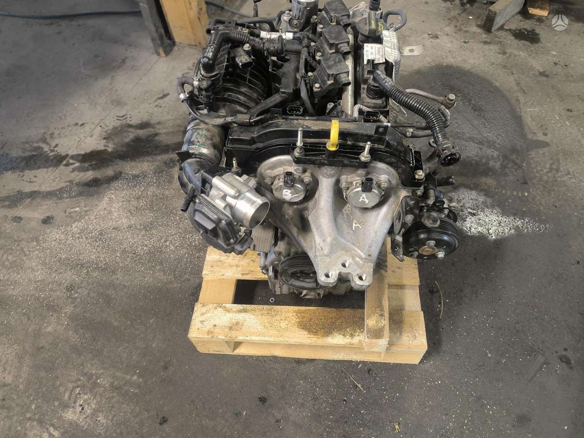 Ford Fiesta, SFJA