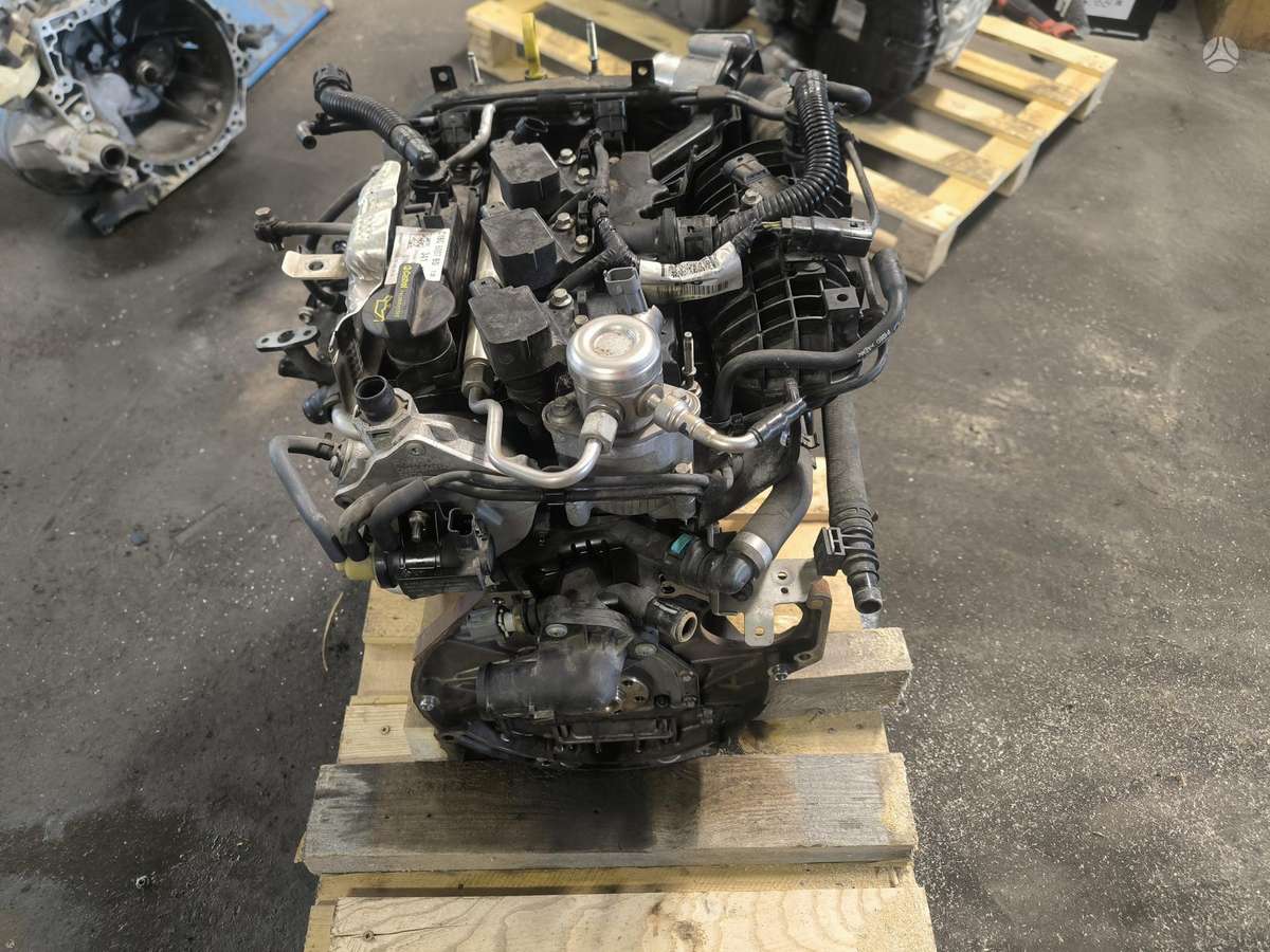 Ford Fiesta, SFJA