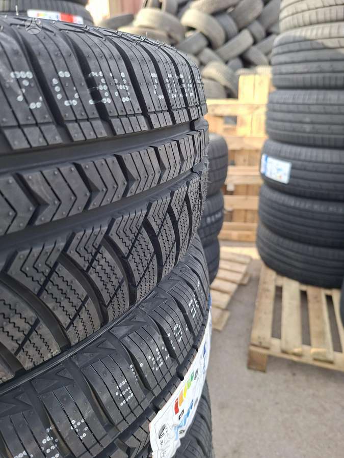 Sailun 2025, universalios 195/65 R15