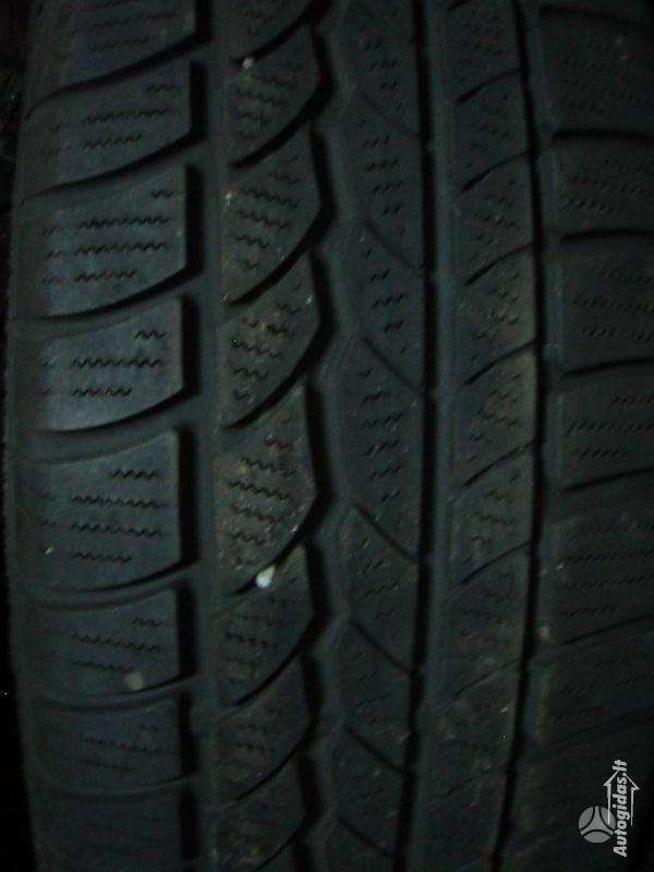 Continental, winter 185/55 R15