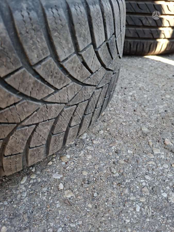 Toyo, universalios 195/55 R16