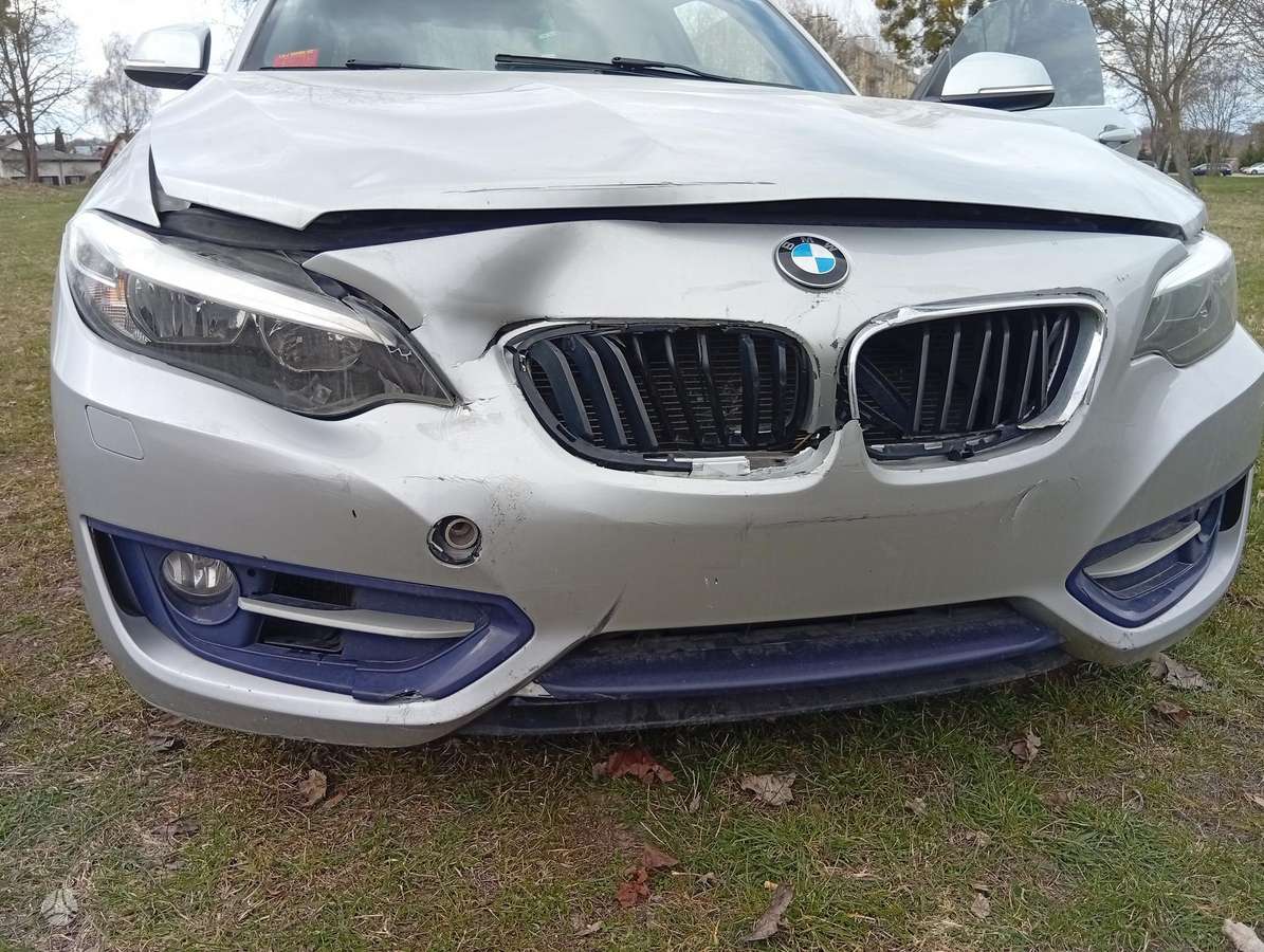 BMW 228, 2.0 l., coupe