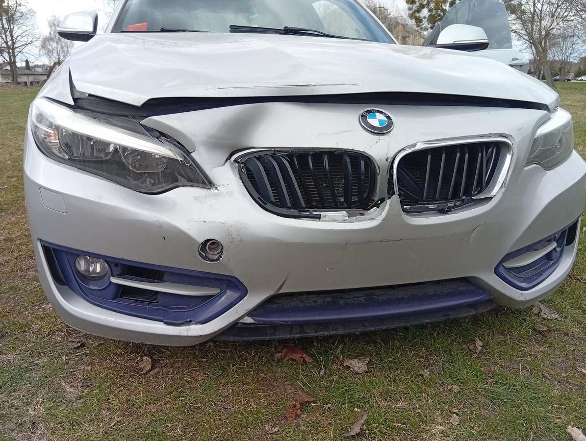 BMW 228, 2.0 l., Купе (coupe)