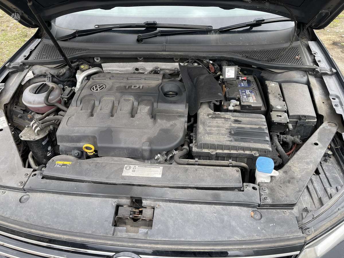 Volkswagen Passat dalimis