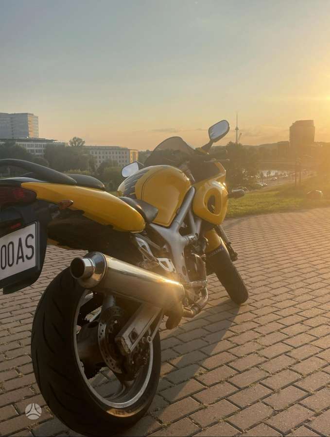 Suzuki SV 650cc, street / classic