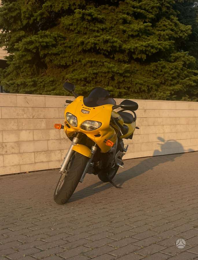 Suzuki SV 650cc, street / classic