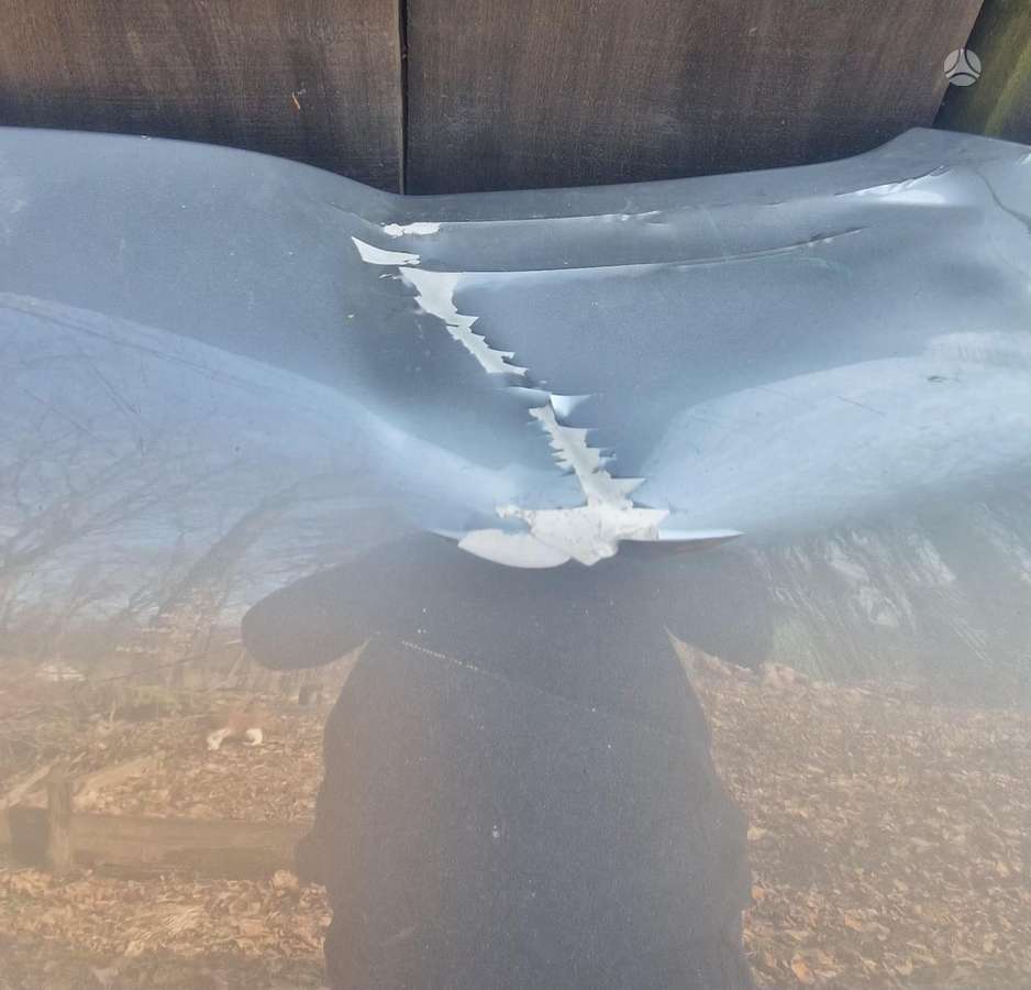 Audi A6 hood (front, rear)