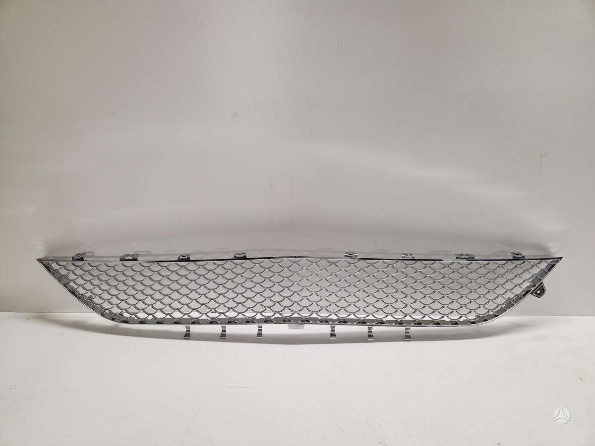 Mercedes-Benz S klasė front grill