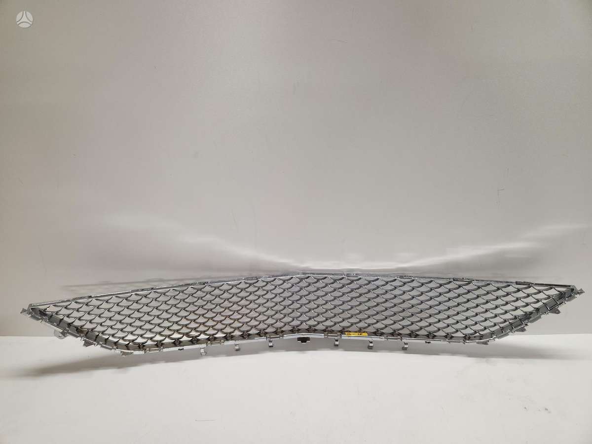 Mercedes-Benz S klasė front grill