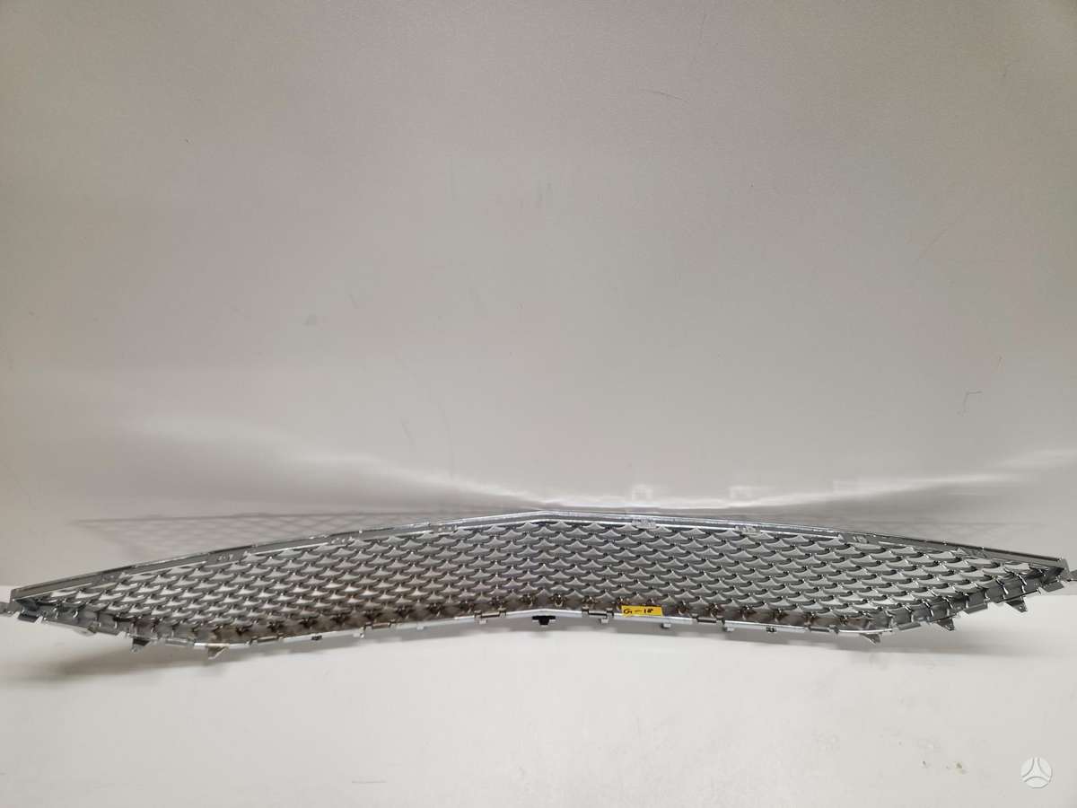 Mercedes-Benz S klasė front grill