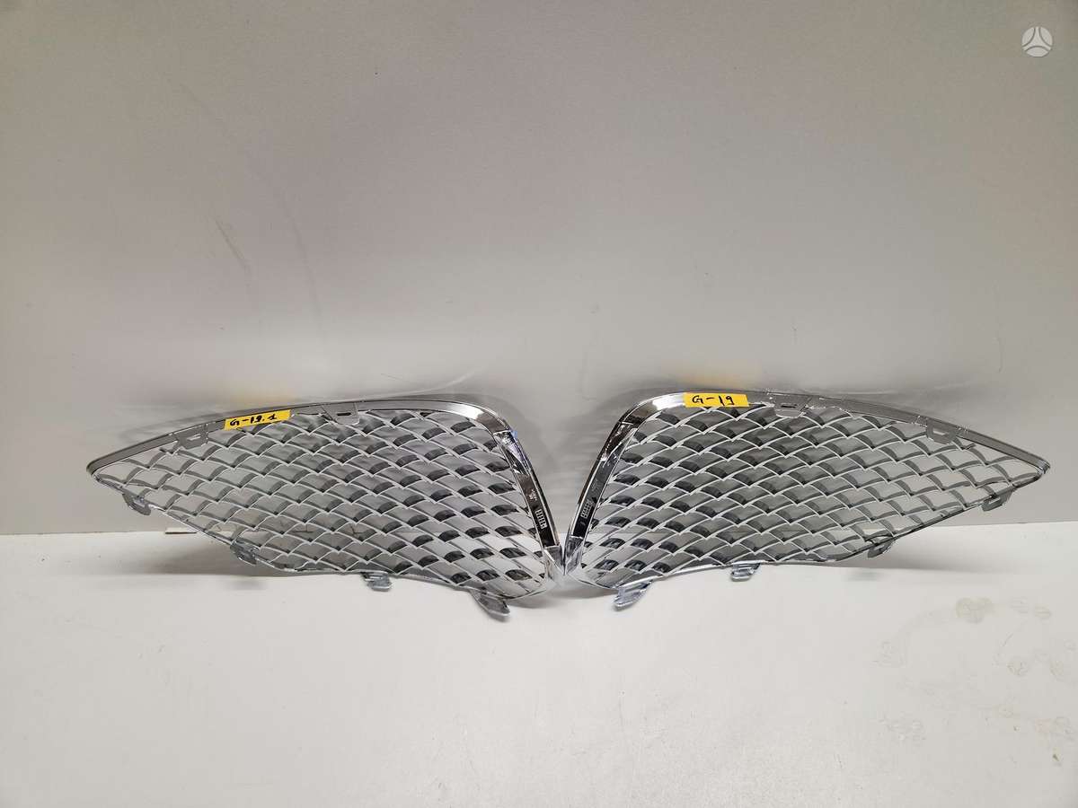 Mercedes-Benz S klasė front grill