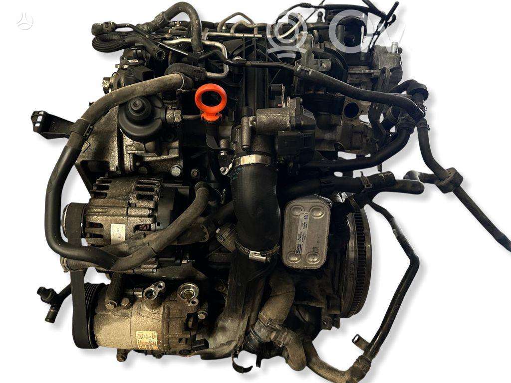 Volkswagen Caddy variklis