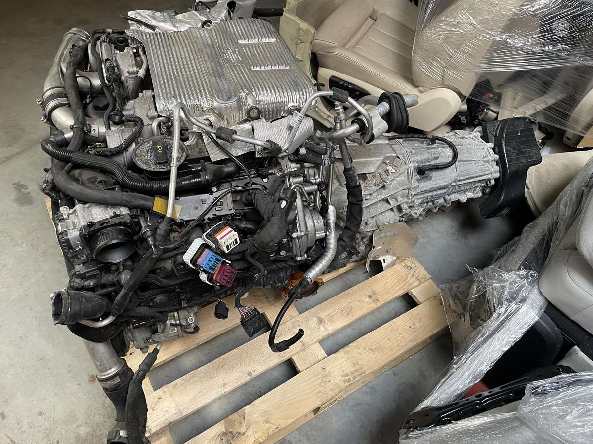 Porsche Macan Macan gts 2023 dgr