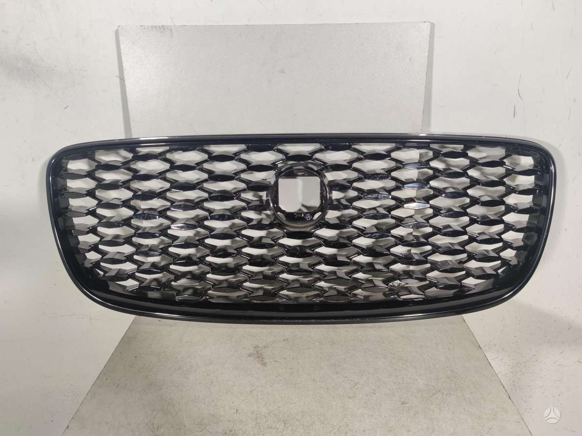 Jaguar F-Pace, MK838A100, front grill