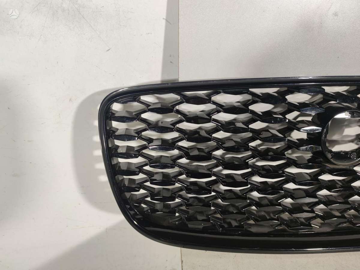 Jaguar F-Pace, MK838A100, front grill