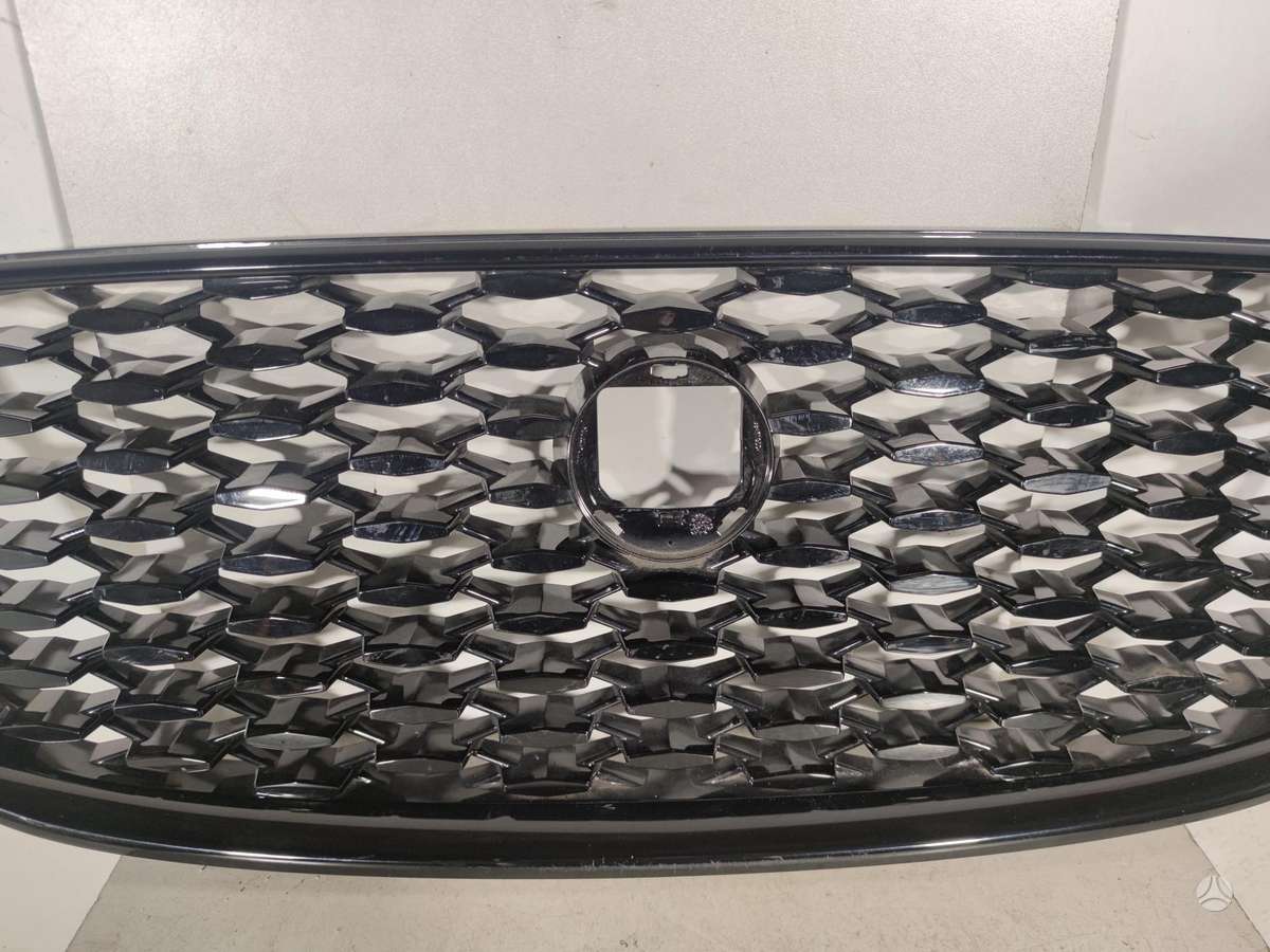 Jaguar F-Pace, MK838A100, front grill