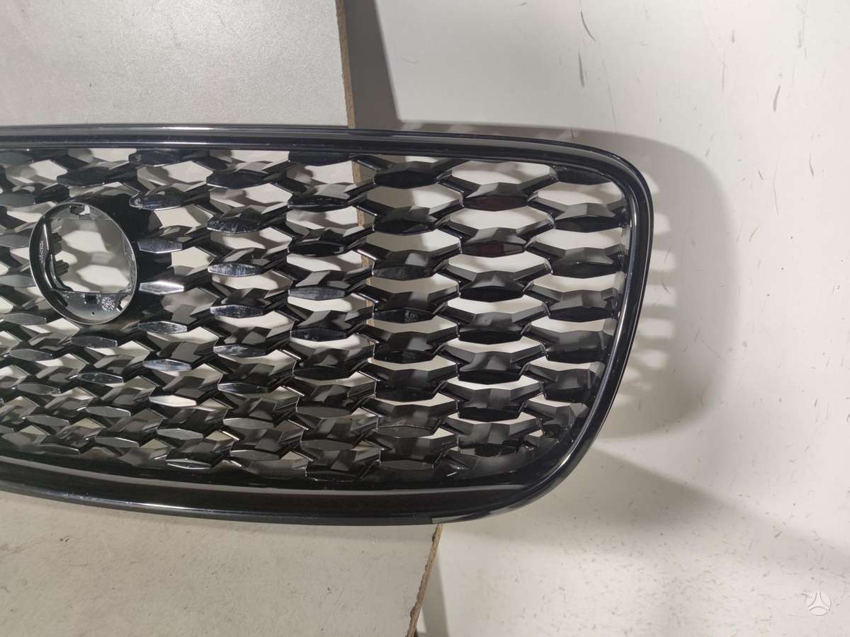 Jaguar F-Pace, MK838A100, front grill