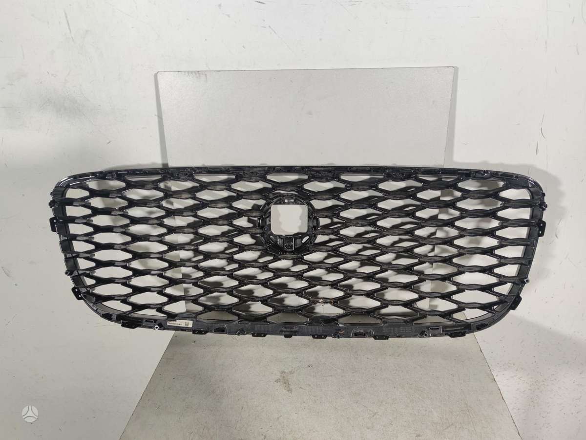 Jaguar F-Pace, MK838A100, front grill