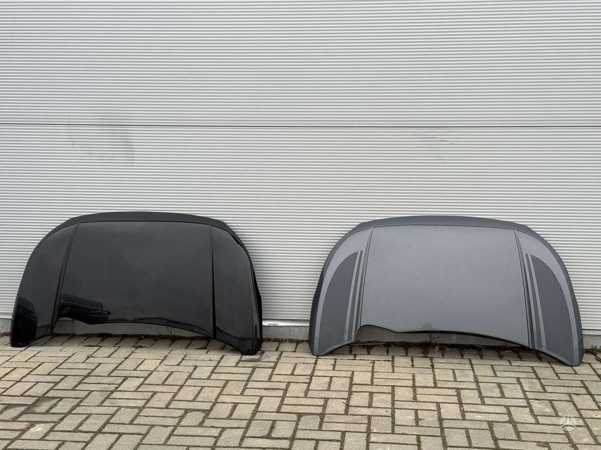 Ligier JS50 dangtis (priekinis, galinis)