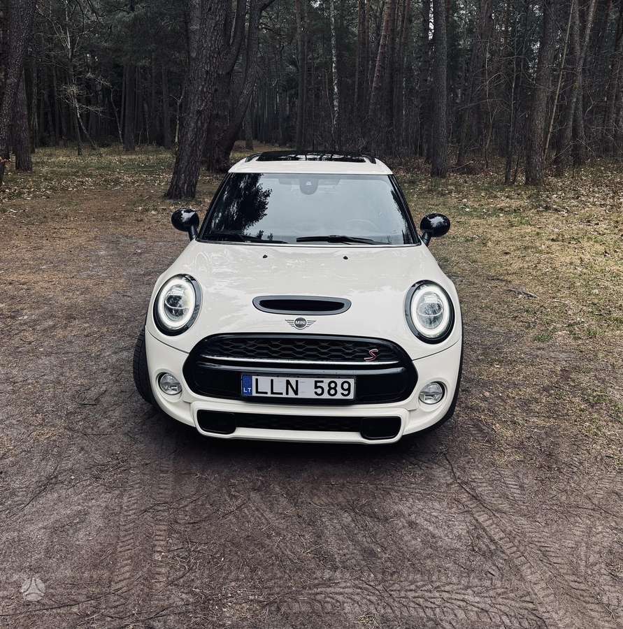 Mini Cooper S, 2.0 l., hatchback