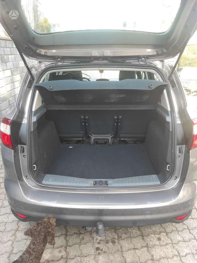 Ford C-MAX, 2.0 l., Минивэн