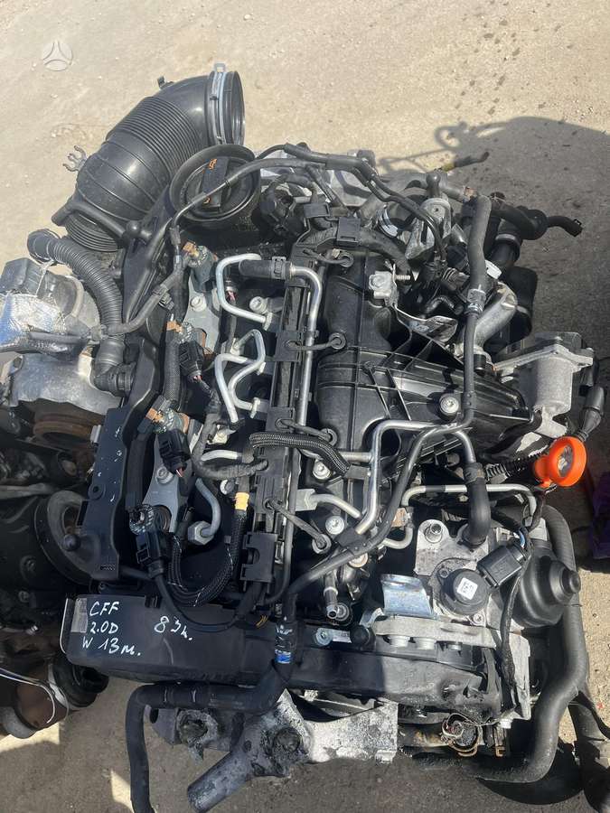 Volkswagen Passat, CFF, Is anlisko automobilio