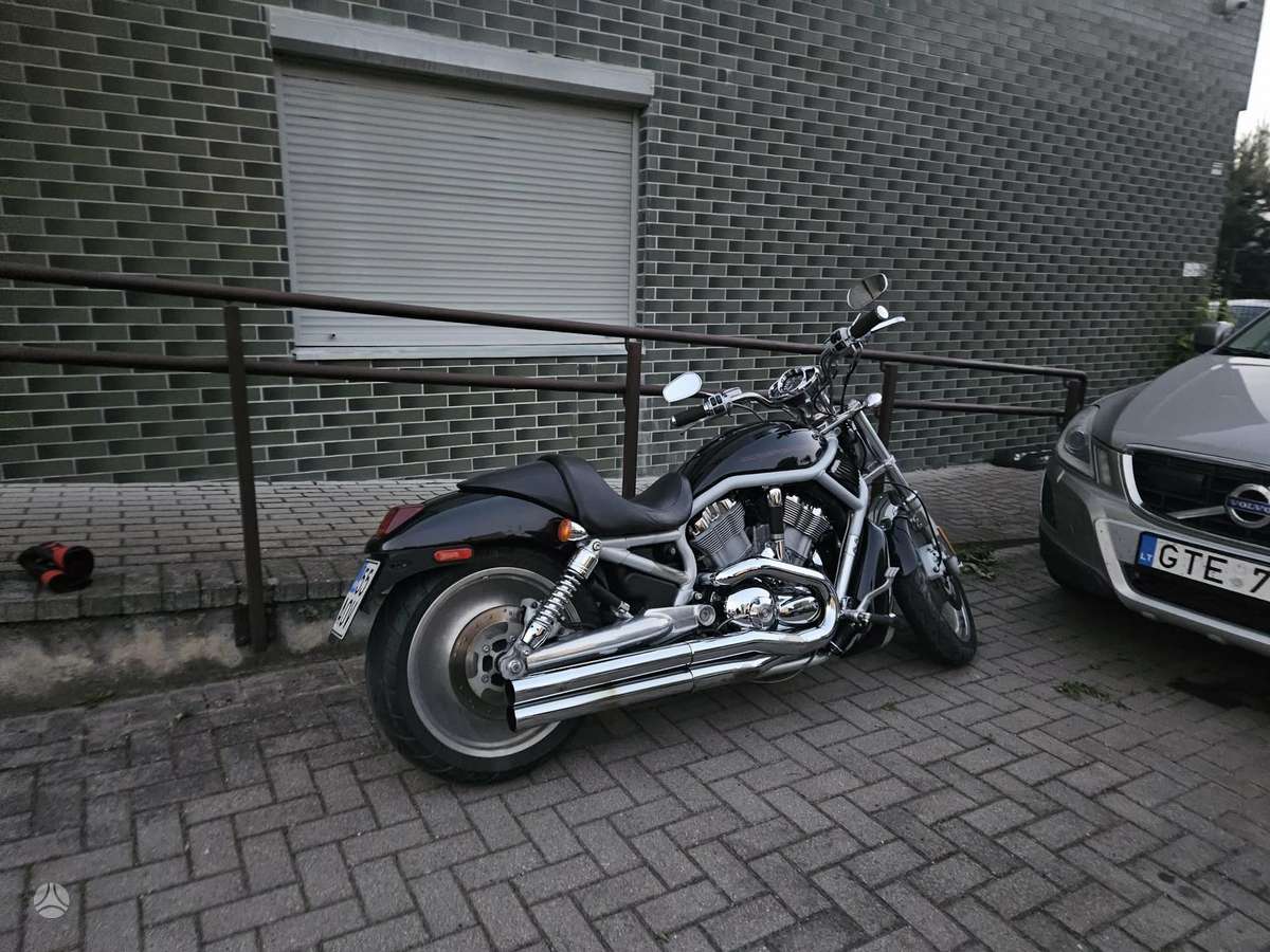 Harley-Davidson VRSCA, choppers / cruisers / custom