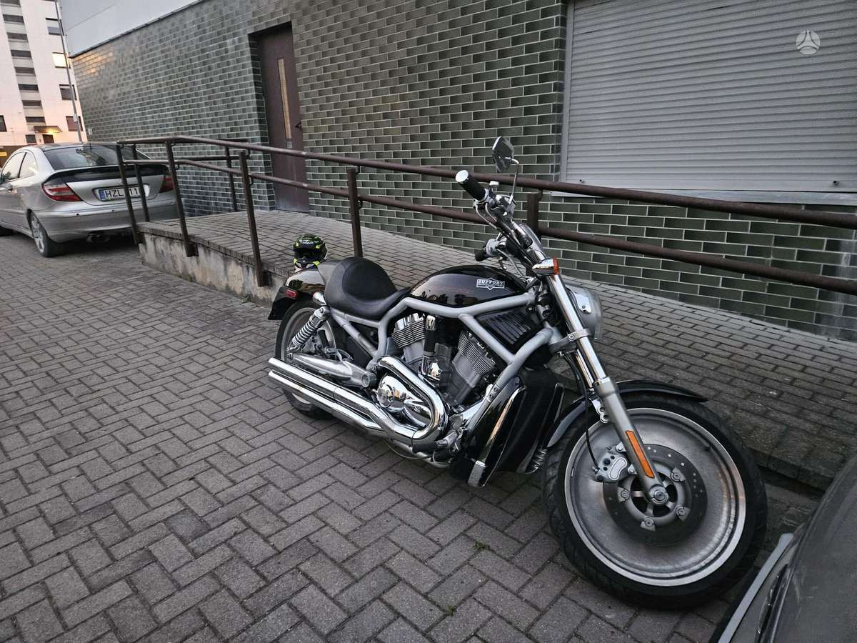 Harley-Davidson VRSCA, choppers / cruisers / custom