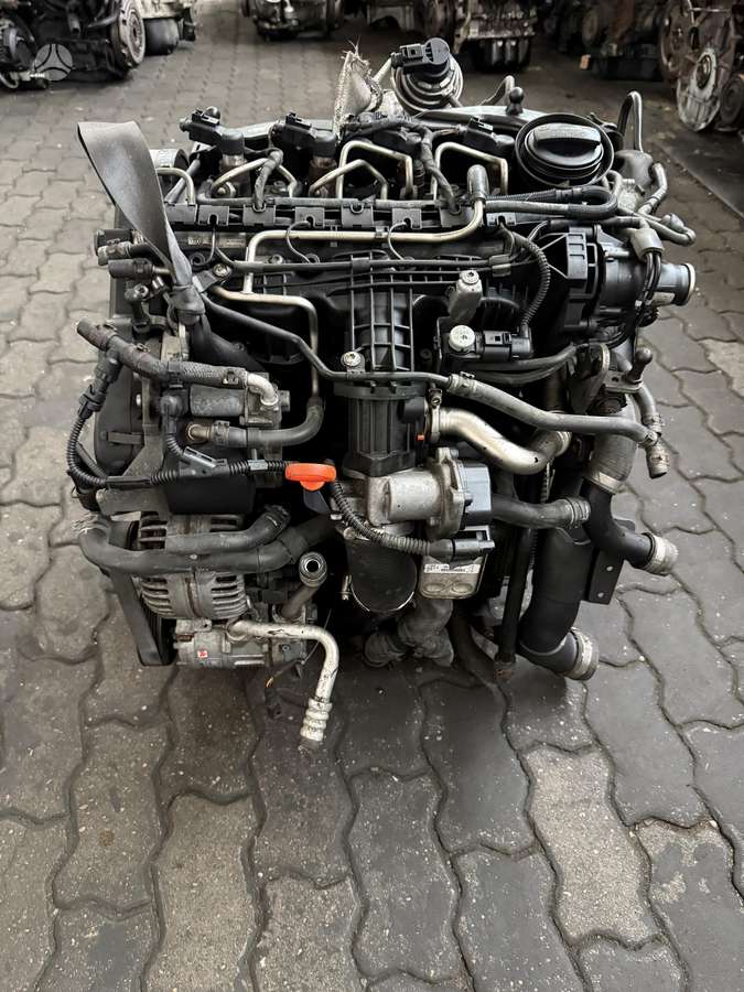 Volkswagen Golf, CAY, variklis