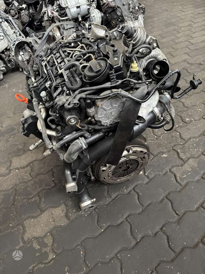 Volkswagen Golf, CAY, variklis