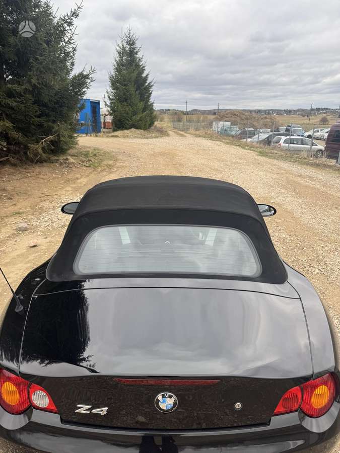 BMW Z4 dalimis