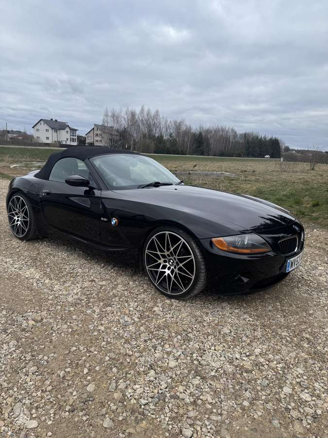 BMW Z4 dalimis