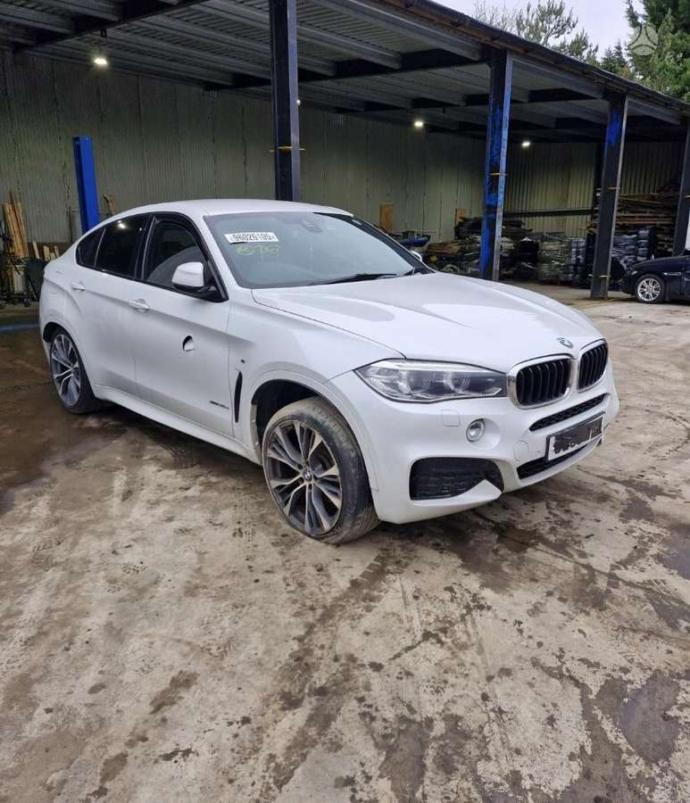 BMW X6 Dalimis