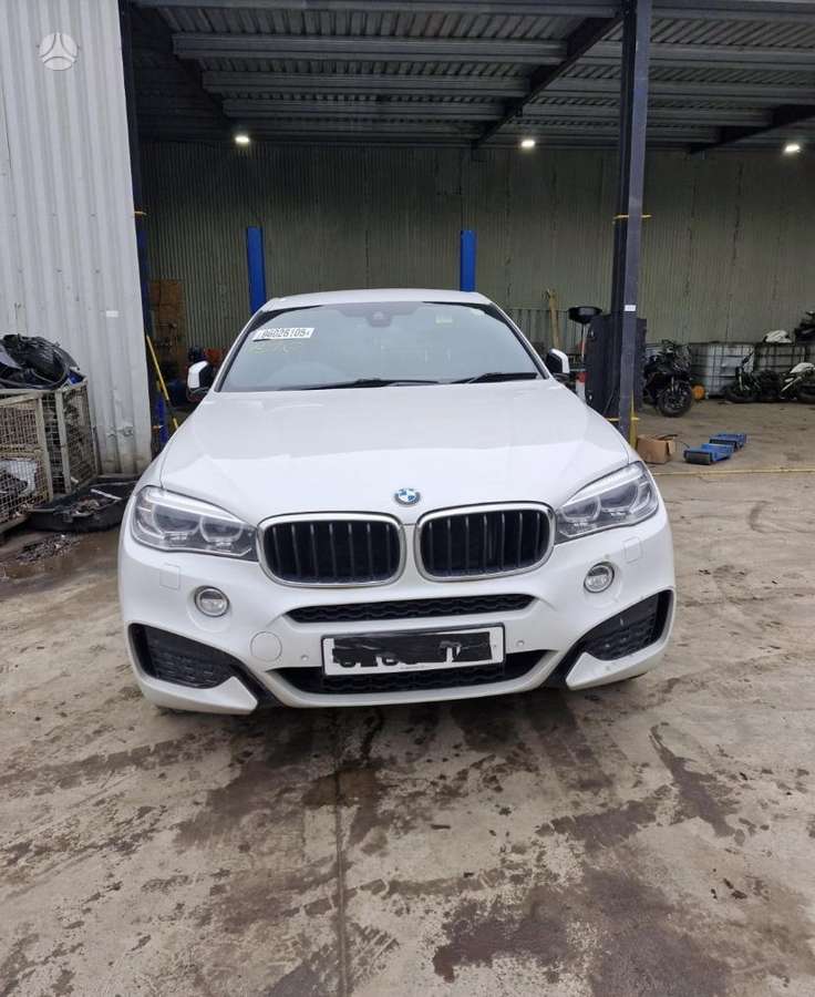 BMW X6 Dalimis