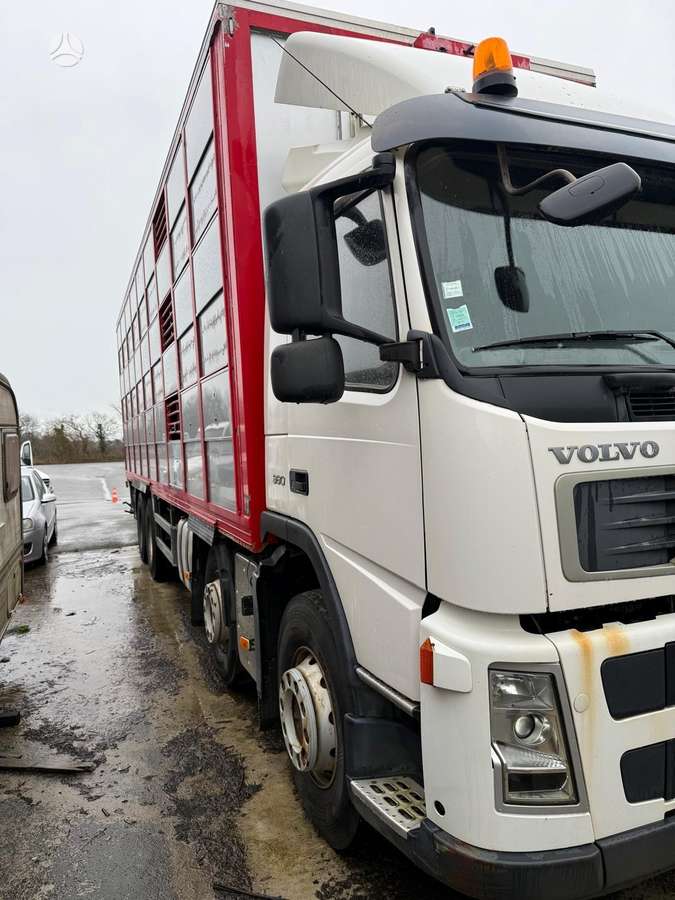 Volvo Fm 380, скотовозы