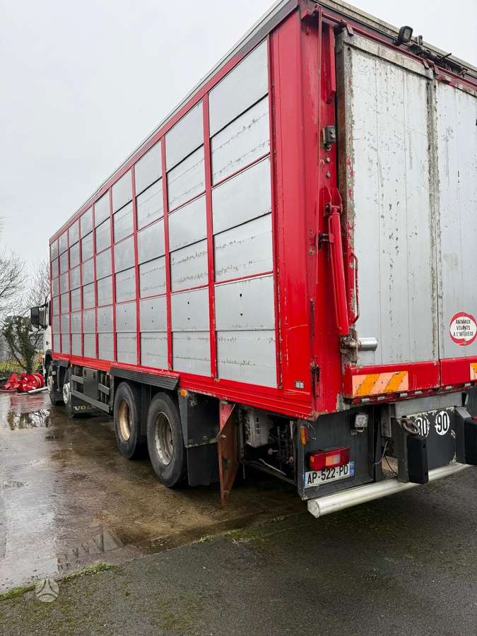 Volvo Fm 380, скотовозы