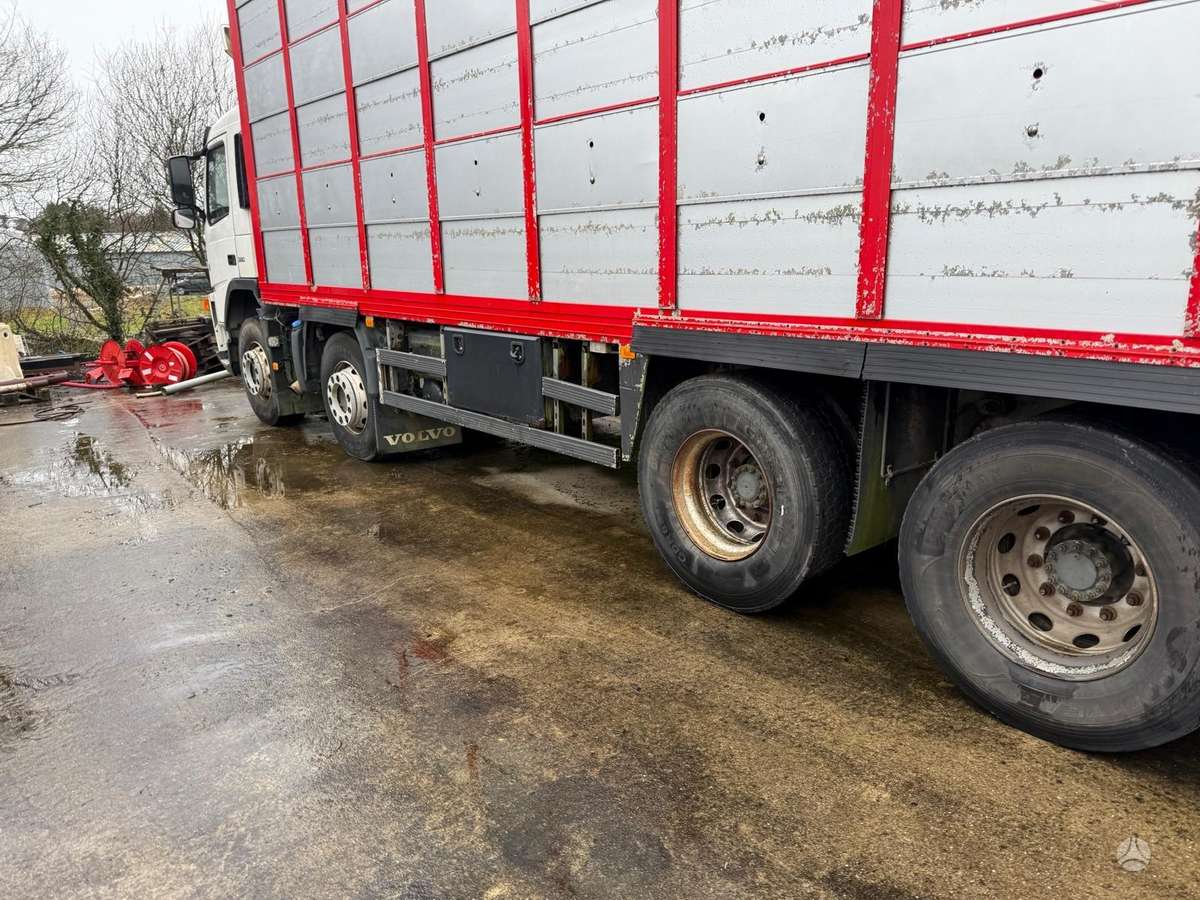 Volvo Fm 380, gyvulių pervežimo