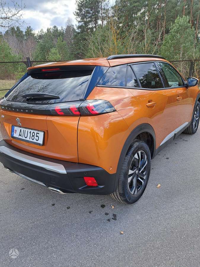 Peugeot 2008 - 7