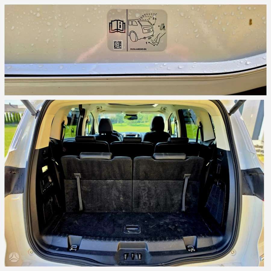 Ford S-MAX, 2.0 l., mpv / minivan