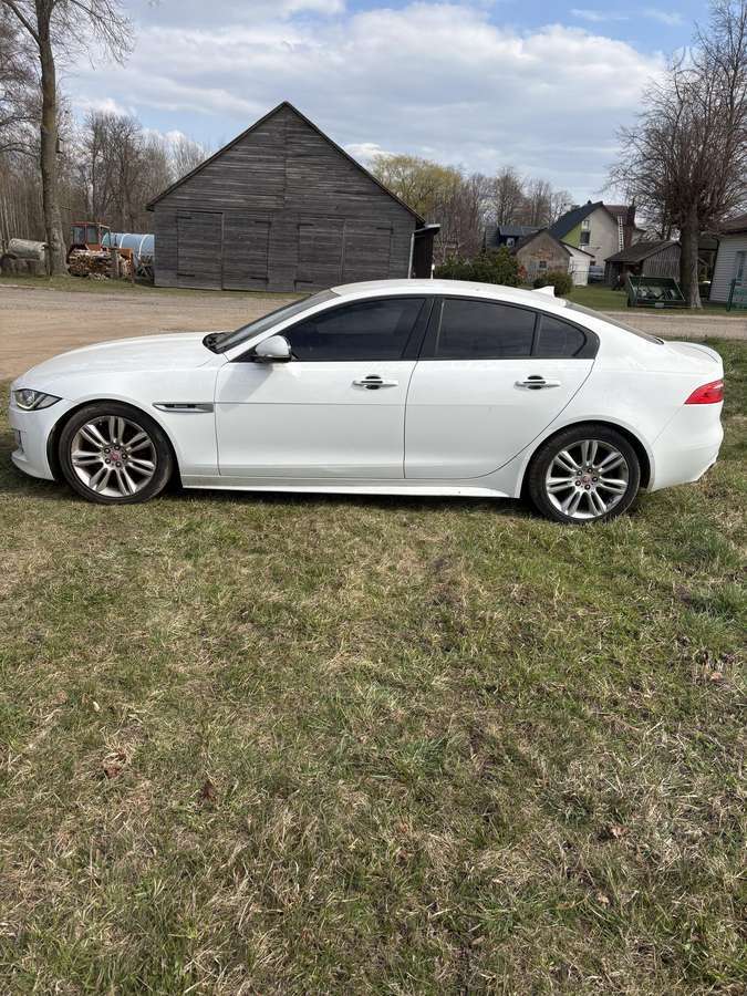 Jaguar XE по частям. Metalynas rrr
