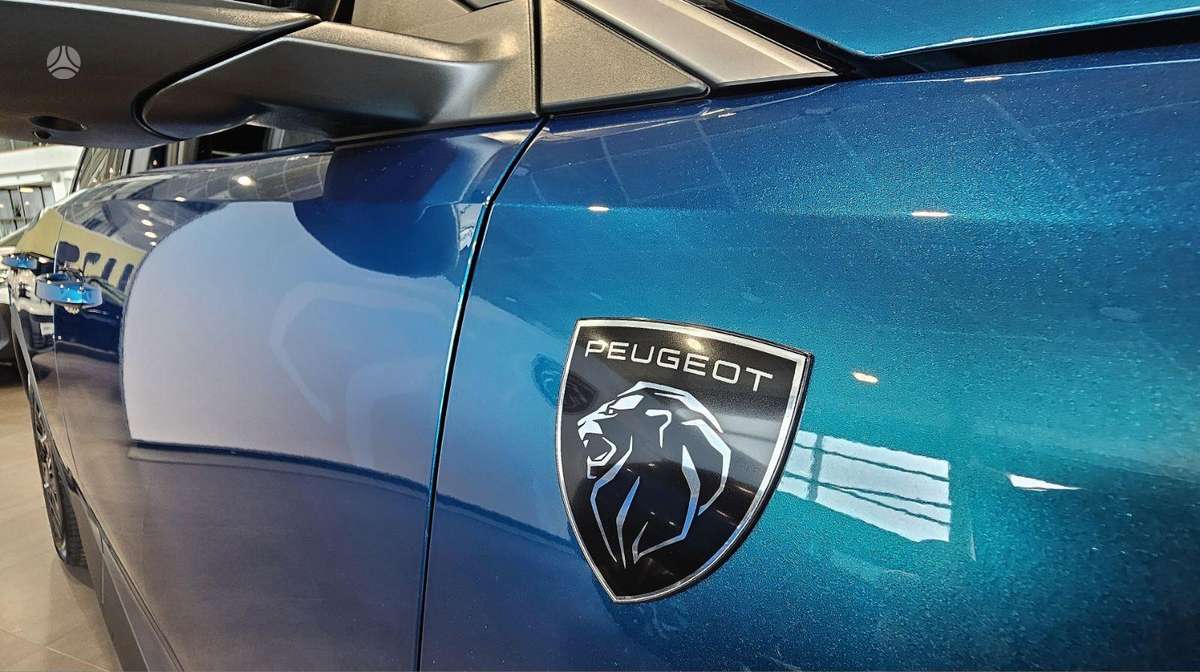Peugeot 3008 - 8
