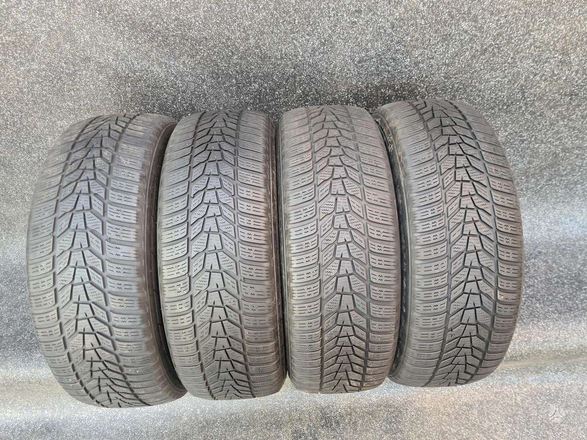 Hankook, žieminės 225/60 R17