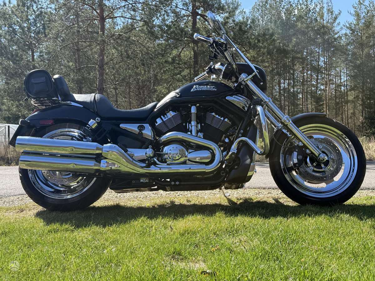 Harley-Davidson VRSCD 1130cc, choppers / cruisers / custom