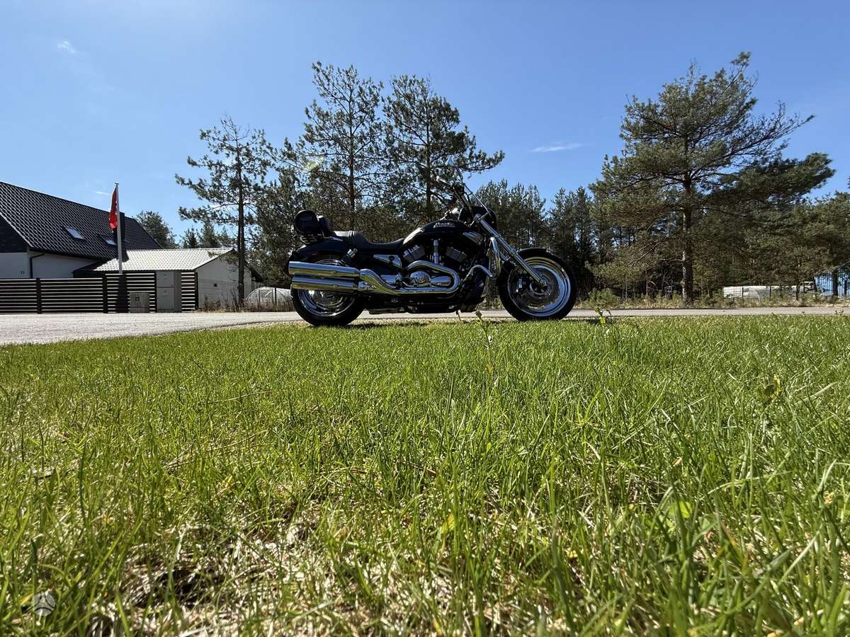 Harley-Davidson VRSCD 1130cc, choppers / cruisers / custom