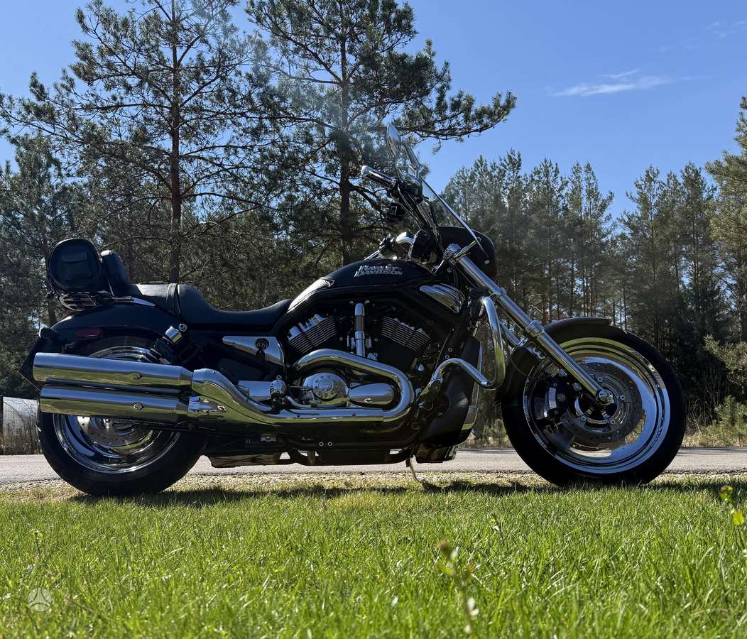 Harley-Davidson VRSCD 1130cc, choppers / cruisers / custom